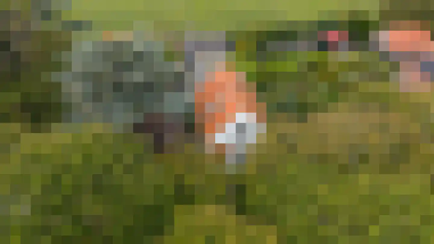 Zuid Bosweg 13 Noordgouwe thumbnail 40