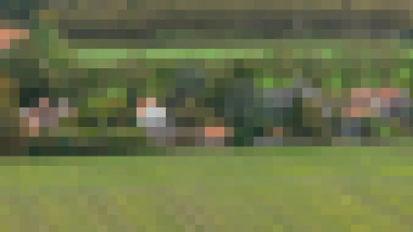 Zuid Bosweg 13 Noordgouwe thumbnail 41