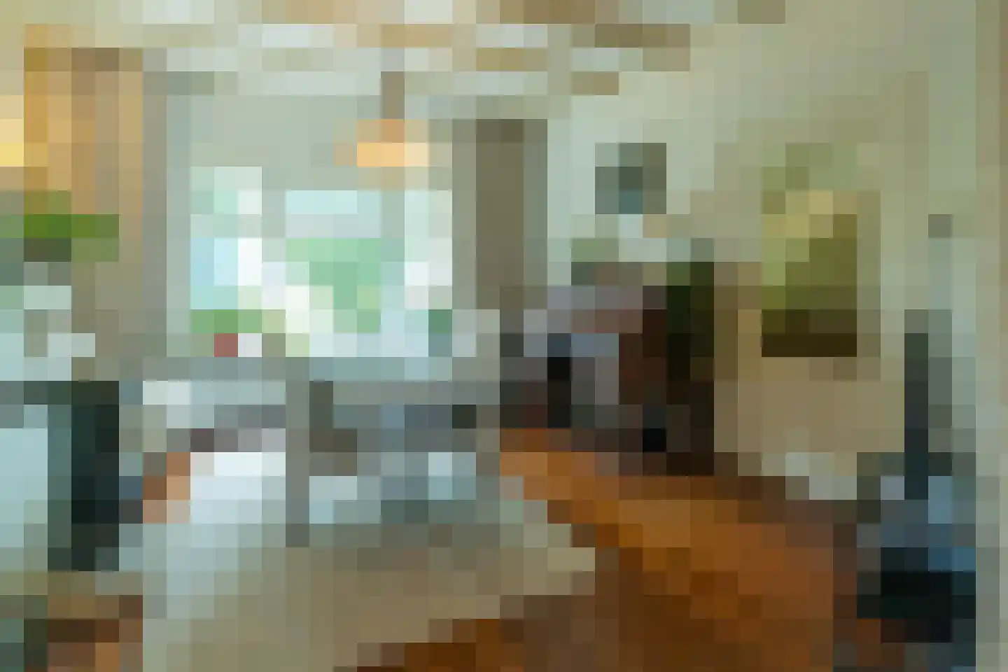 Zuid Bosweg 13 Noordgouwe thumbnail 5