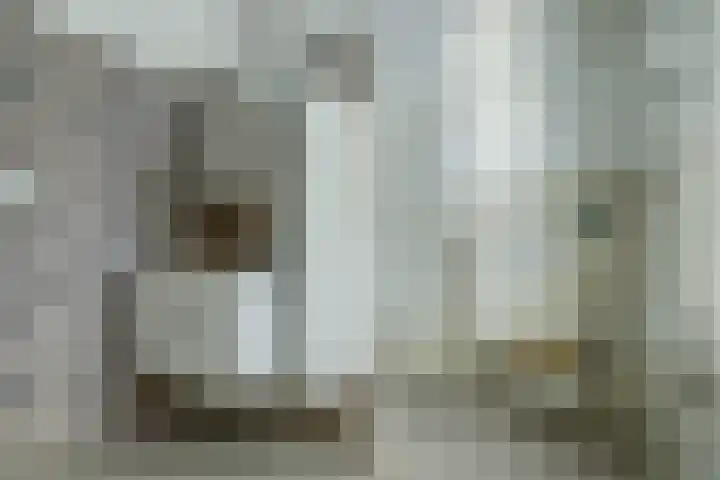Zuid Carolinaweg 1 Langenboom thumbnail 17