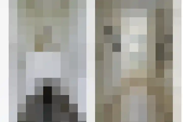 Zuid Carolinaweg 1 Langenboom thumbnail 22