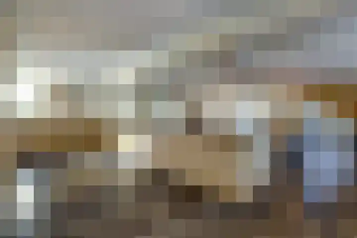 Zuid Carolinaweg 1 Langenboom thumbnail 30