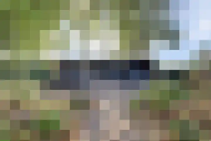 Zuid Carolinaweg 1 Langenboom thumbnail 4