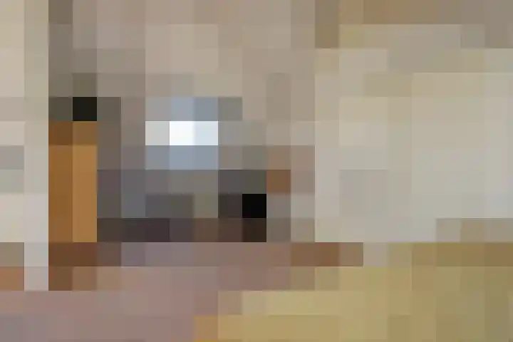 Zuid Carolinaweg 1 Langenboom thumbnail 47