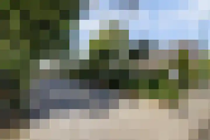 Zuid Carolinaweg 1 Langenboom thumbnail 5