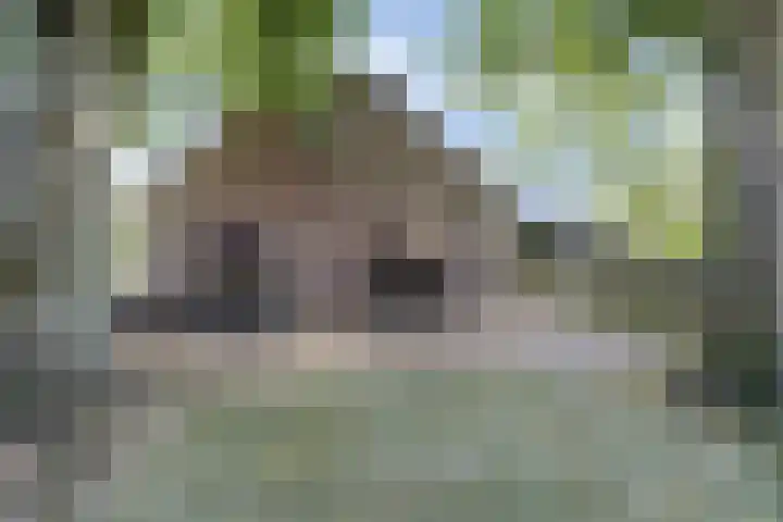 Zuid Carolinaweg 1 Langenboom thumbnail 52