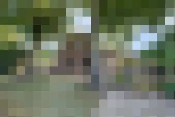 Zuid Carolinaweg 1 Langenboom thumbnail 53