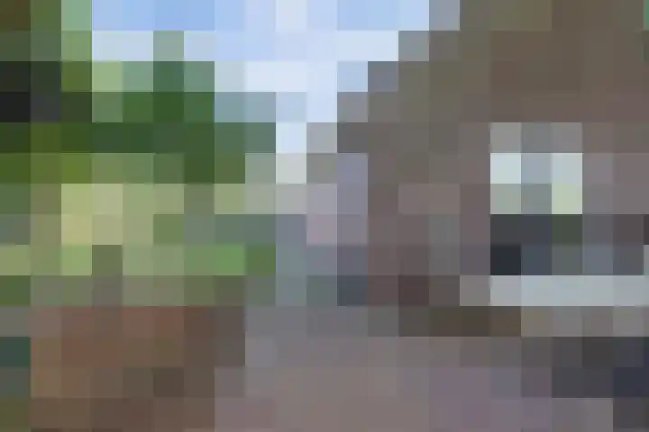 Zuid Carolinaweg 1 Langenboom thumbnail 54