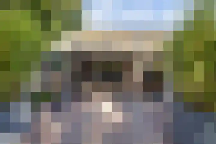 Zuid Carolinaweg 1 Langenboom thumbnail 55