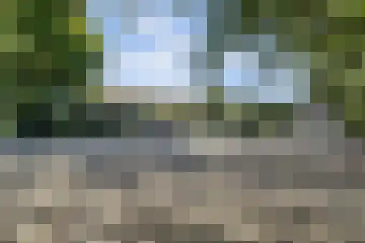 Zuid Carolinaweg 1 Langenboom thumbnail 56
