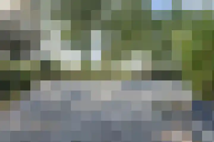 Zuid Carolinaweg 1 Langenboom thumbnail 57