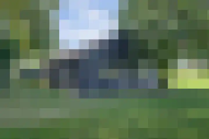 Zuid Carolinaweg 1 Langenboom thumbnail 63