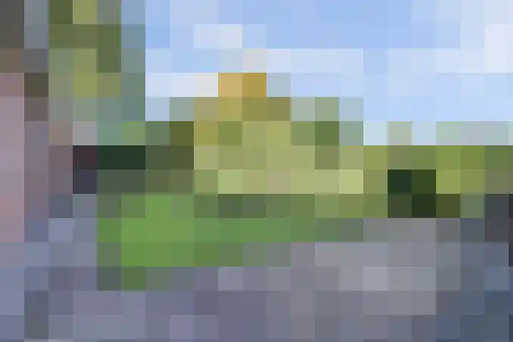 Zuid Carolinaweg 1 Langenboom thumbnail 64