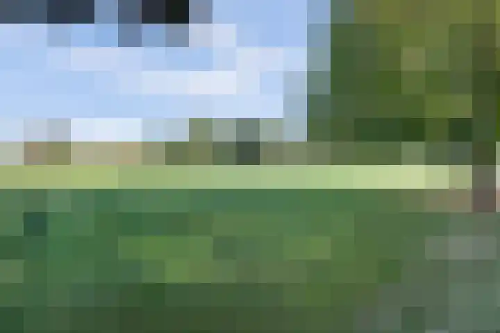 Zuid Carolinaweg 1 Langenboom thumbnail 65