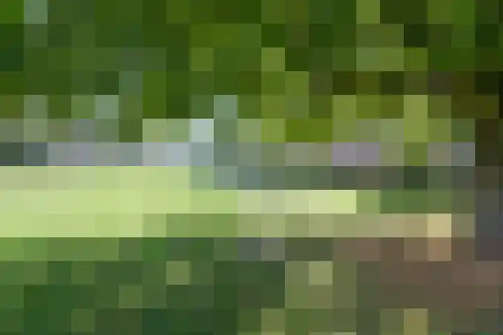 Zuid Carolinaweg 1 Langenboom thumbnail 66