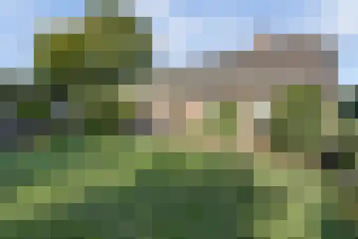 Zuid Carolinaweg 1 Langenboom thumbnail 67