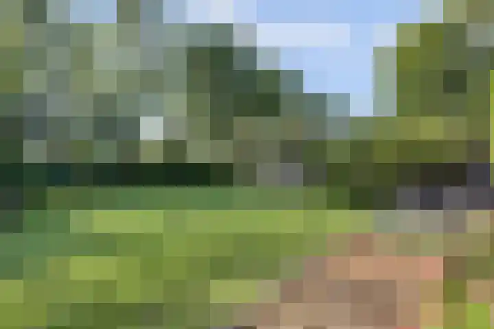 Zuid Carolinaweg 1 Langenboom thumbnail 68