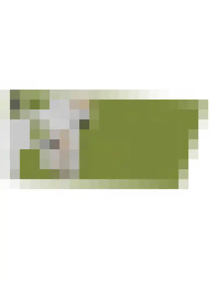 Zuid Carolinaweg 1 Langenboom thumbnail 80