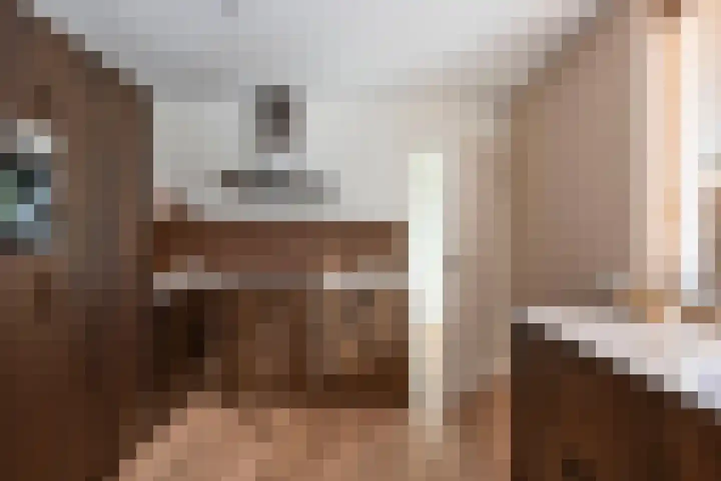 Zuid Esch 25 Borne thumbnail 20