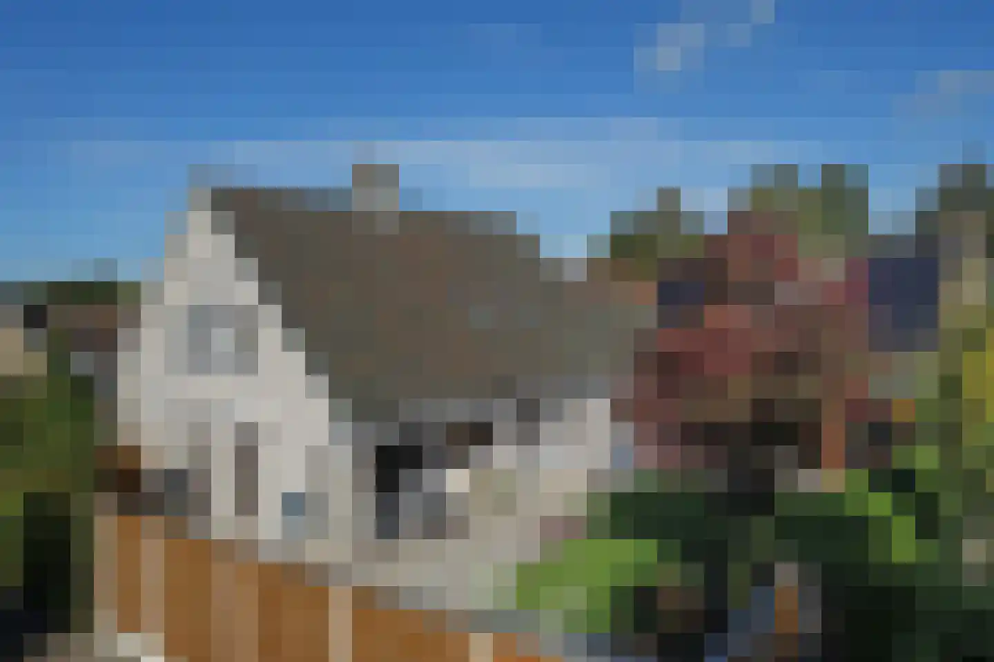 Zuid Esch 25 Borne thumbnail 49