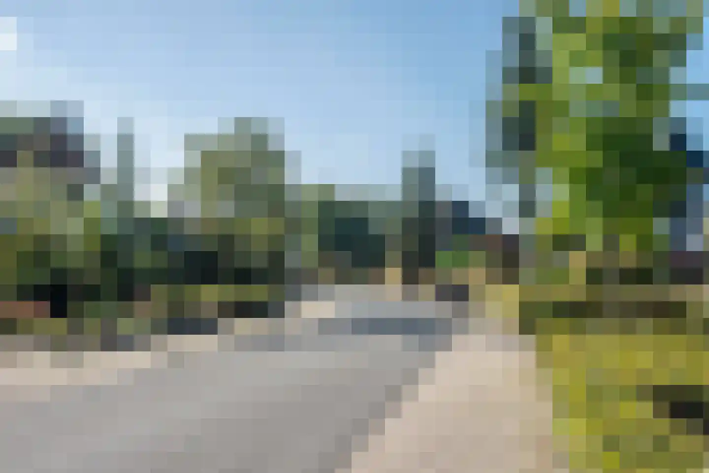 Zuid Esch 25 Borne thumbnail 57