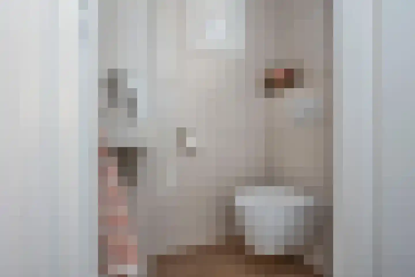 Zuid Esch 25 Borne thumbnail 8
