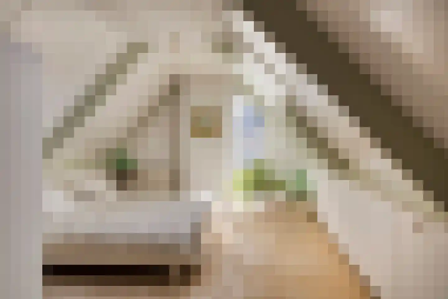 Zuid Esch 46 Borne thumbnail 22