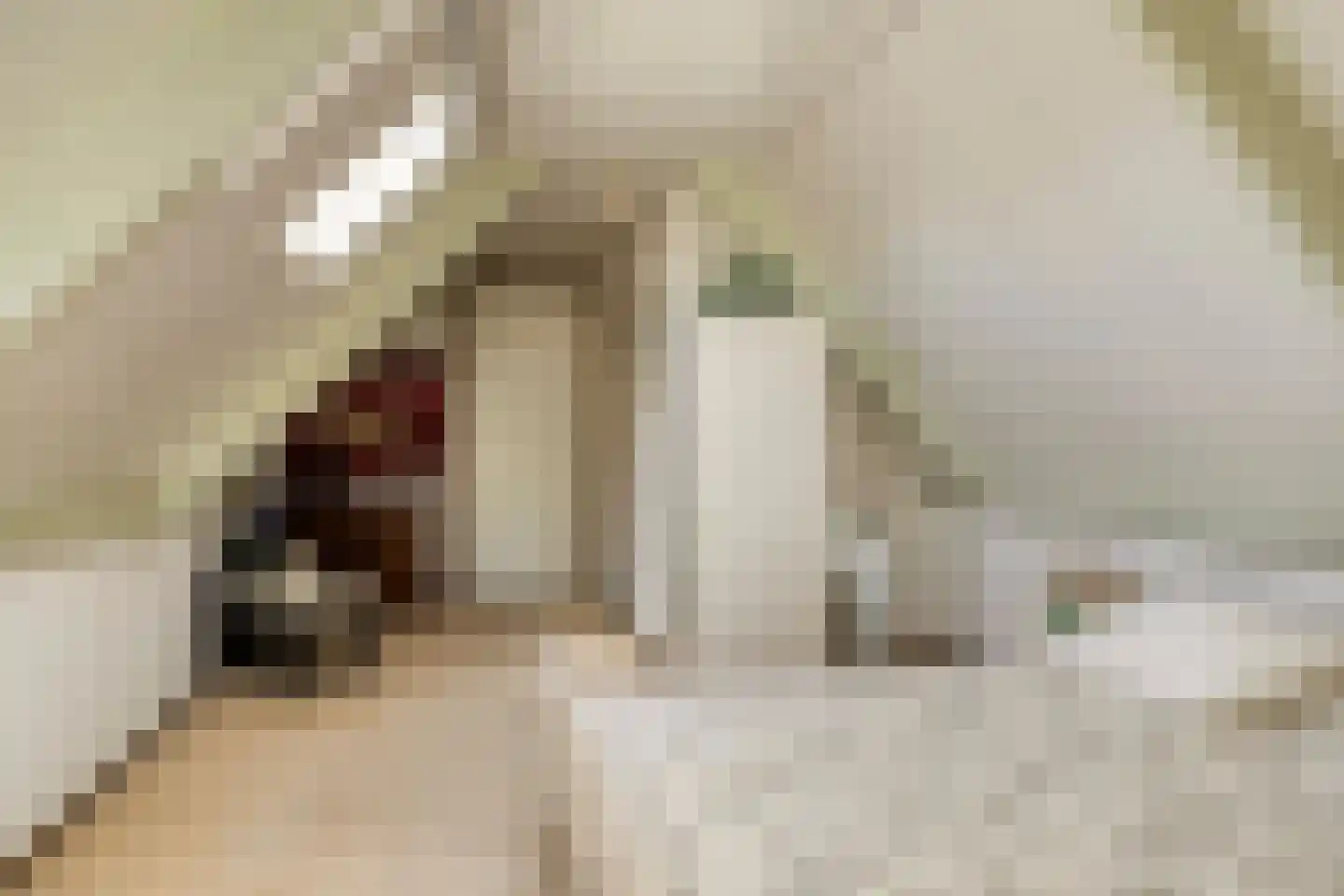 Zuid Esch 46 Borne thumbnail 23