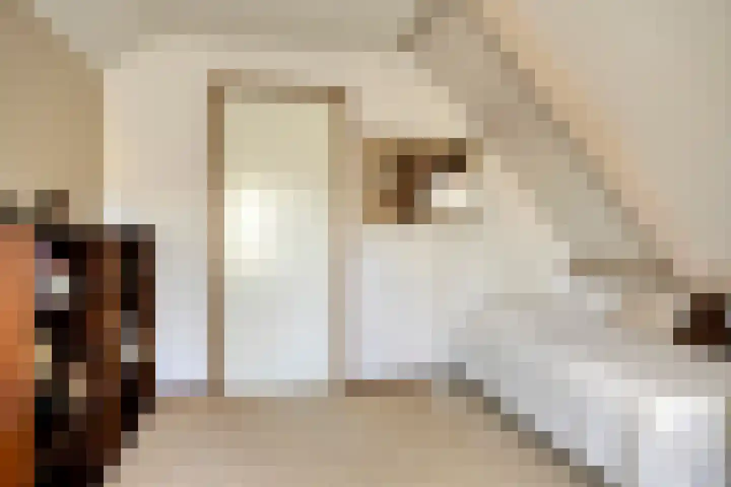 Zuid Esch 46 Borne thumbnail 27