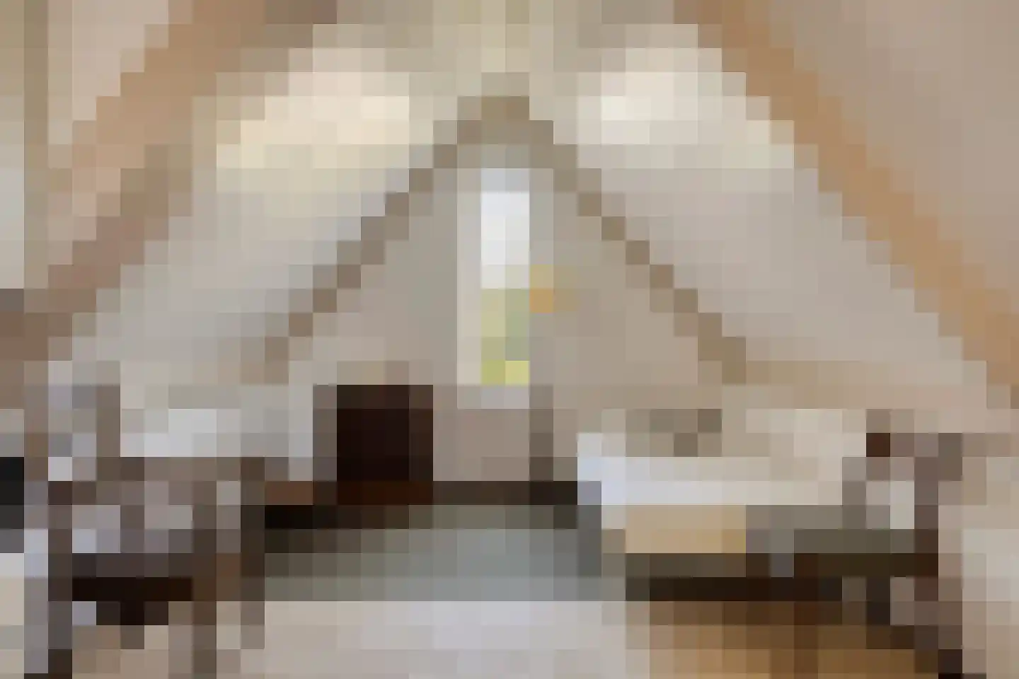 Zuid Esch 46 Borne thumbnail 29