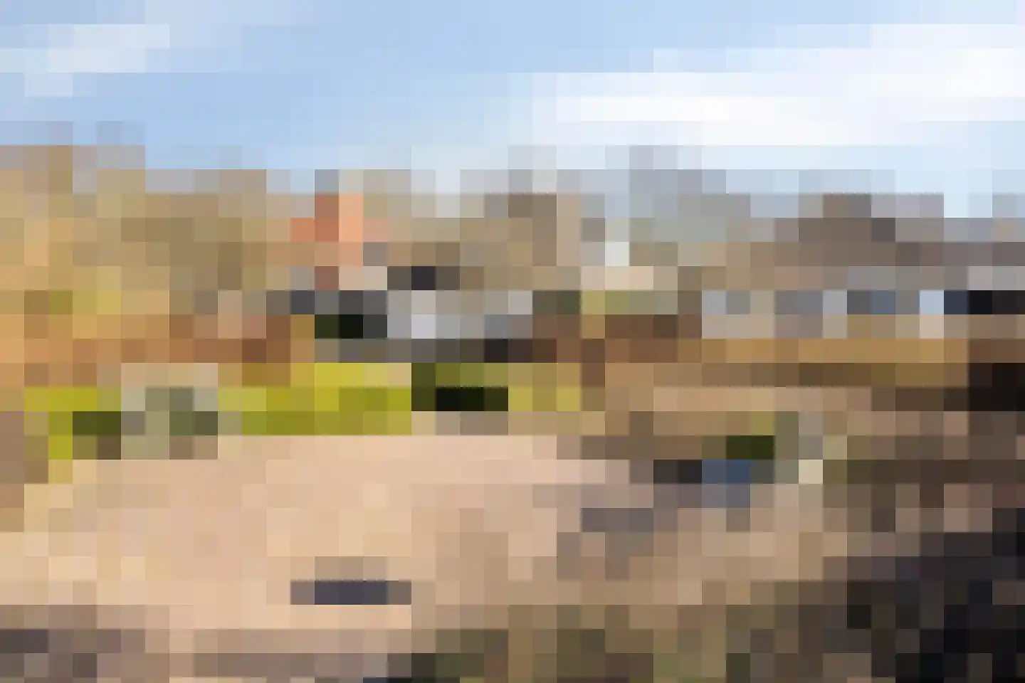 Zuid Esch 46 Borne thumbnail 36