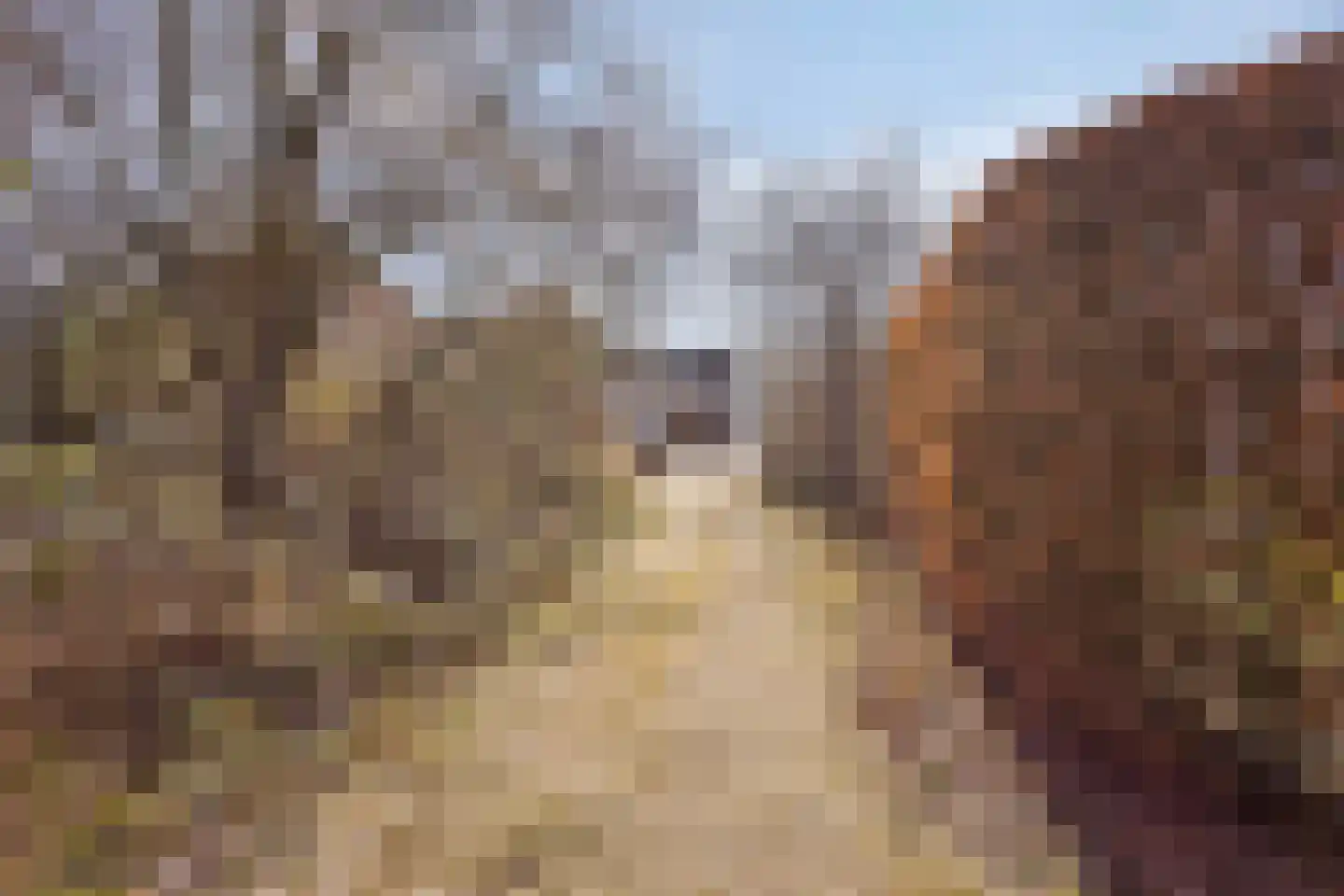 Zuid Esch 46 Borne thumbnail 38