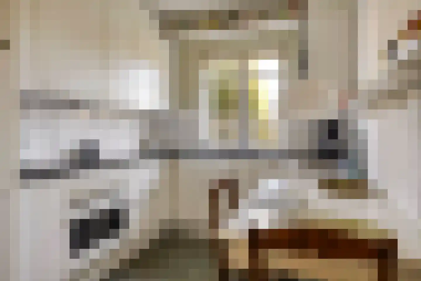 Zuid Esch 46 Borne thumbnail 5