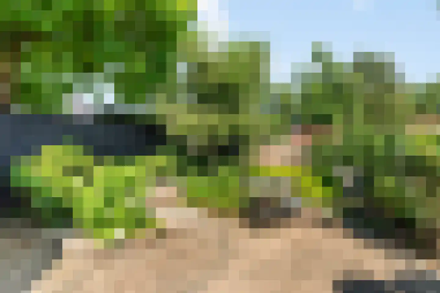 Zuid Esweg 79 Hellendoorn thumbnail 19