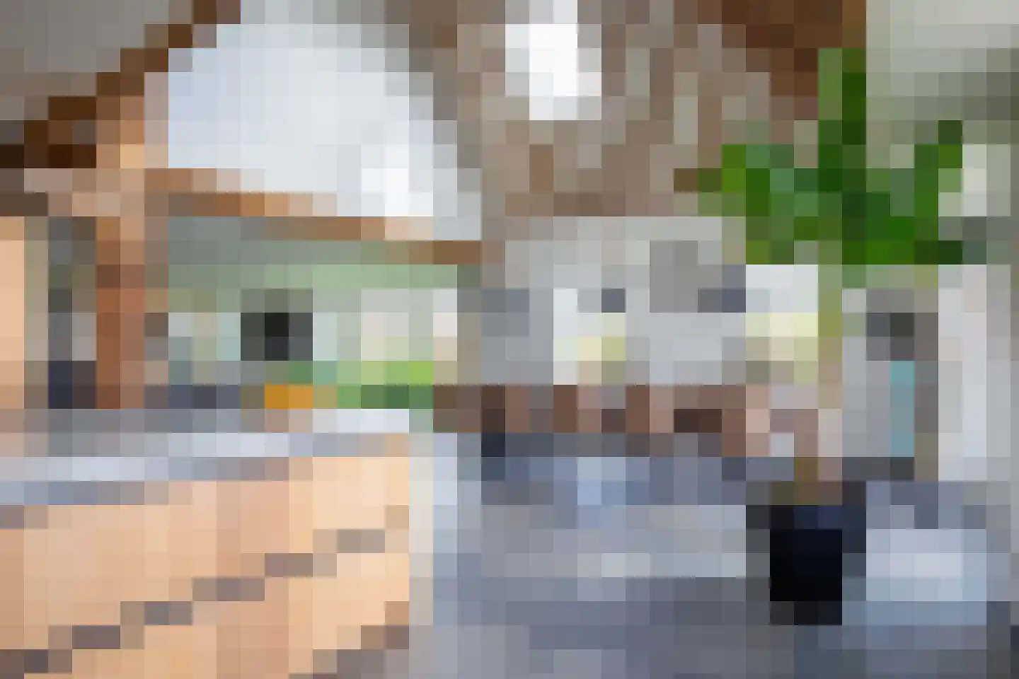 Zuid Haffel 26 Den Burg thumbnail 12