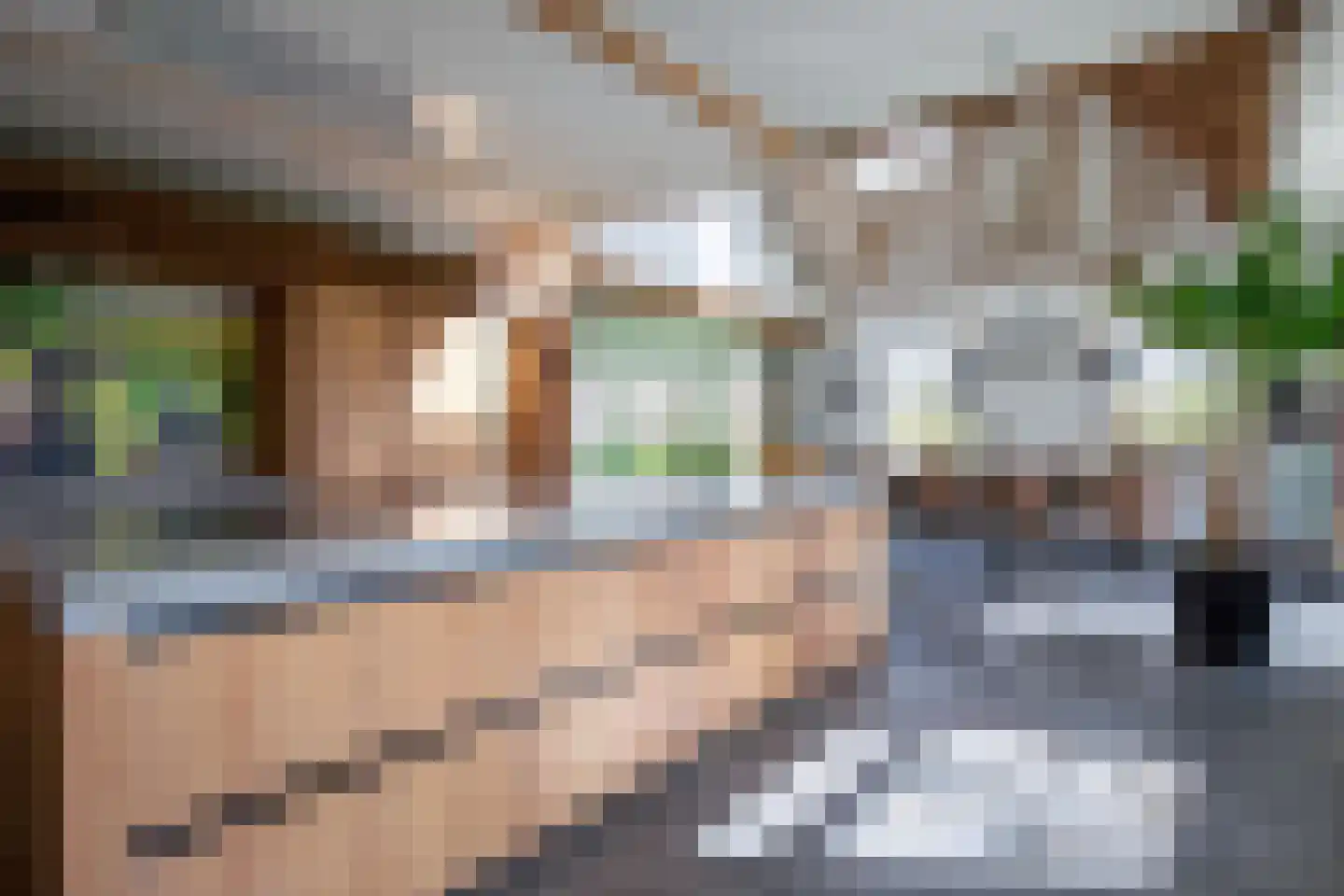 Zuid Haffel 26 Den Burg thumbnail 14