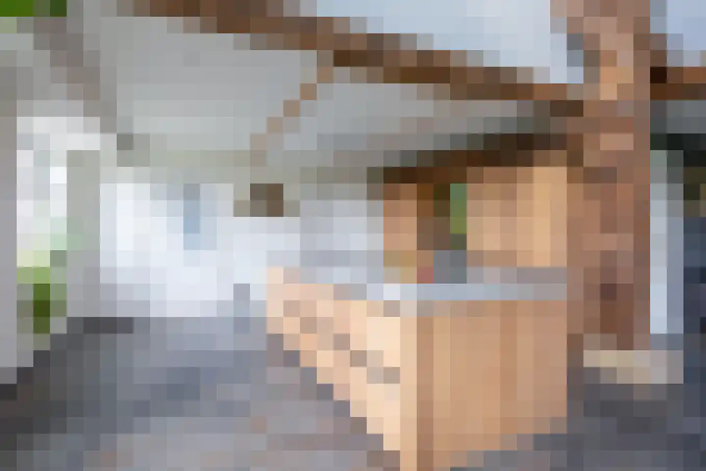 Zuid Haffel 26 Den Burg thumbnail 16