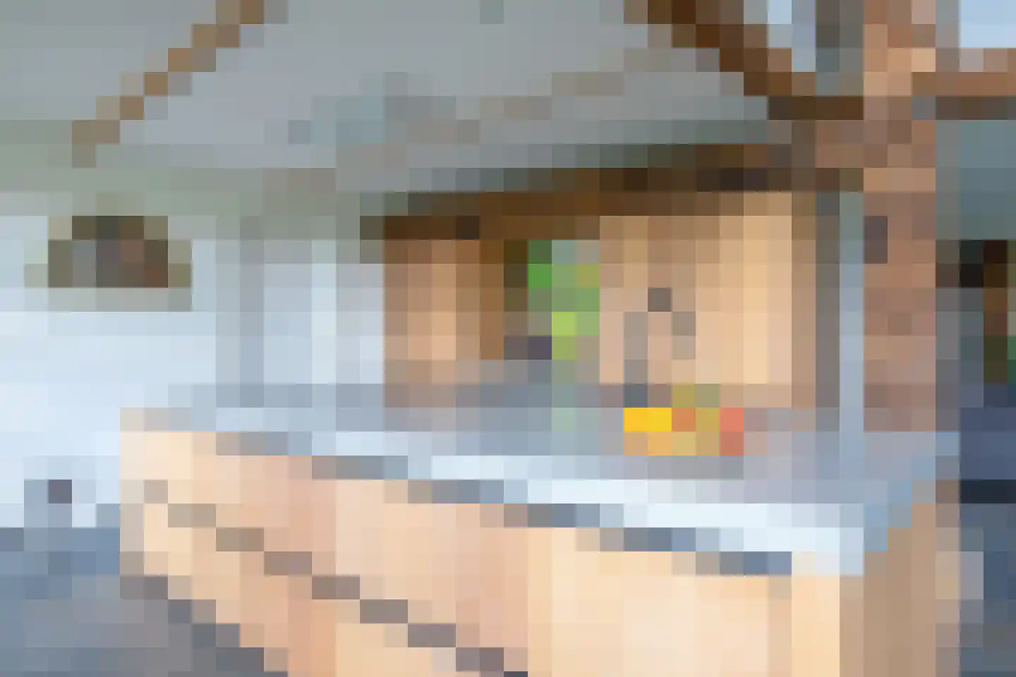 Zuid Haffel 26 Den Burg thumbnail 17