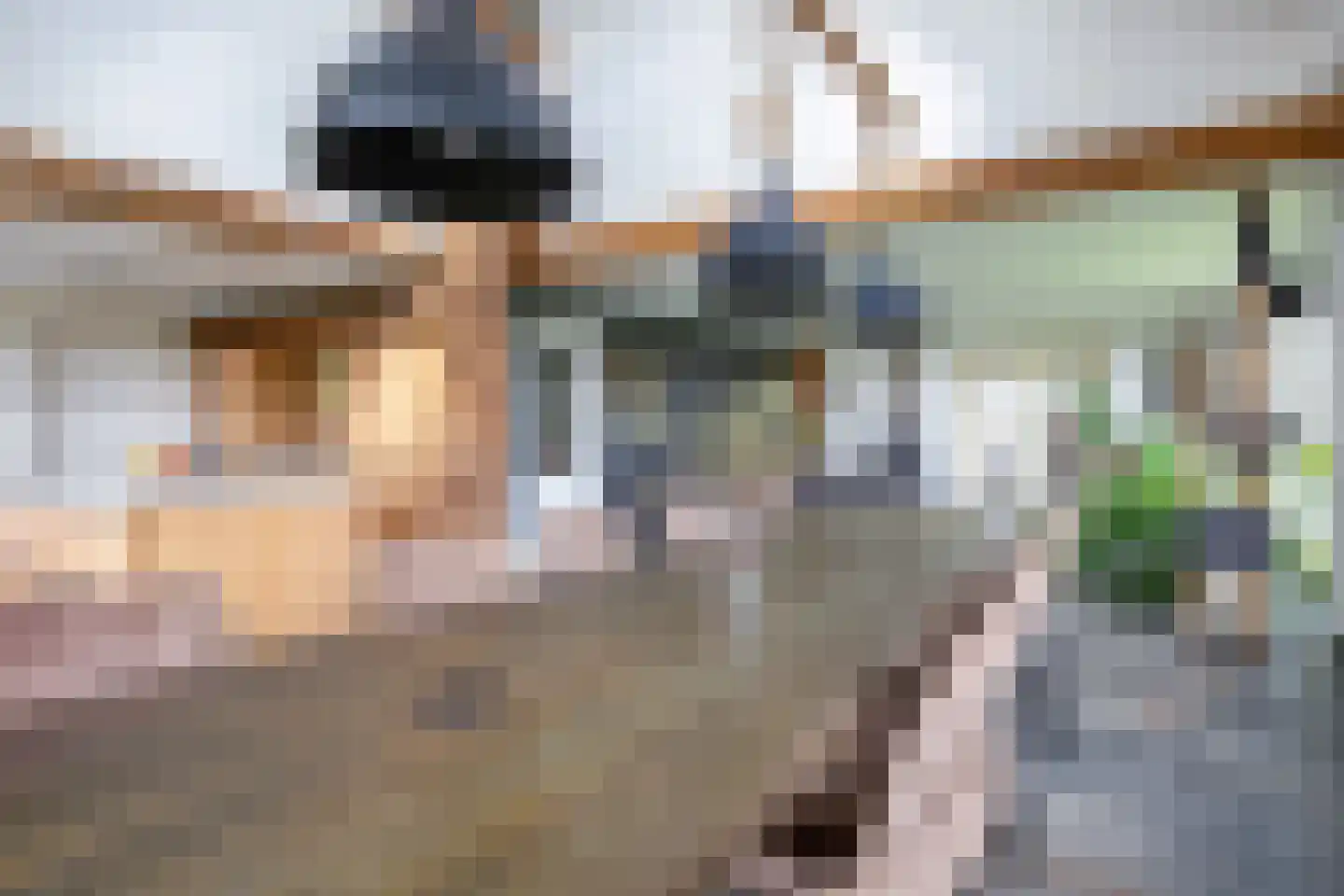Zuid Haffel 26 Den Burg thumbnail 21