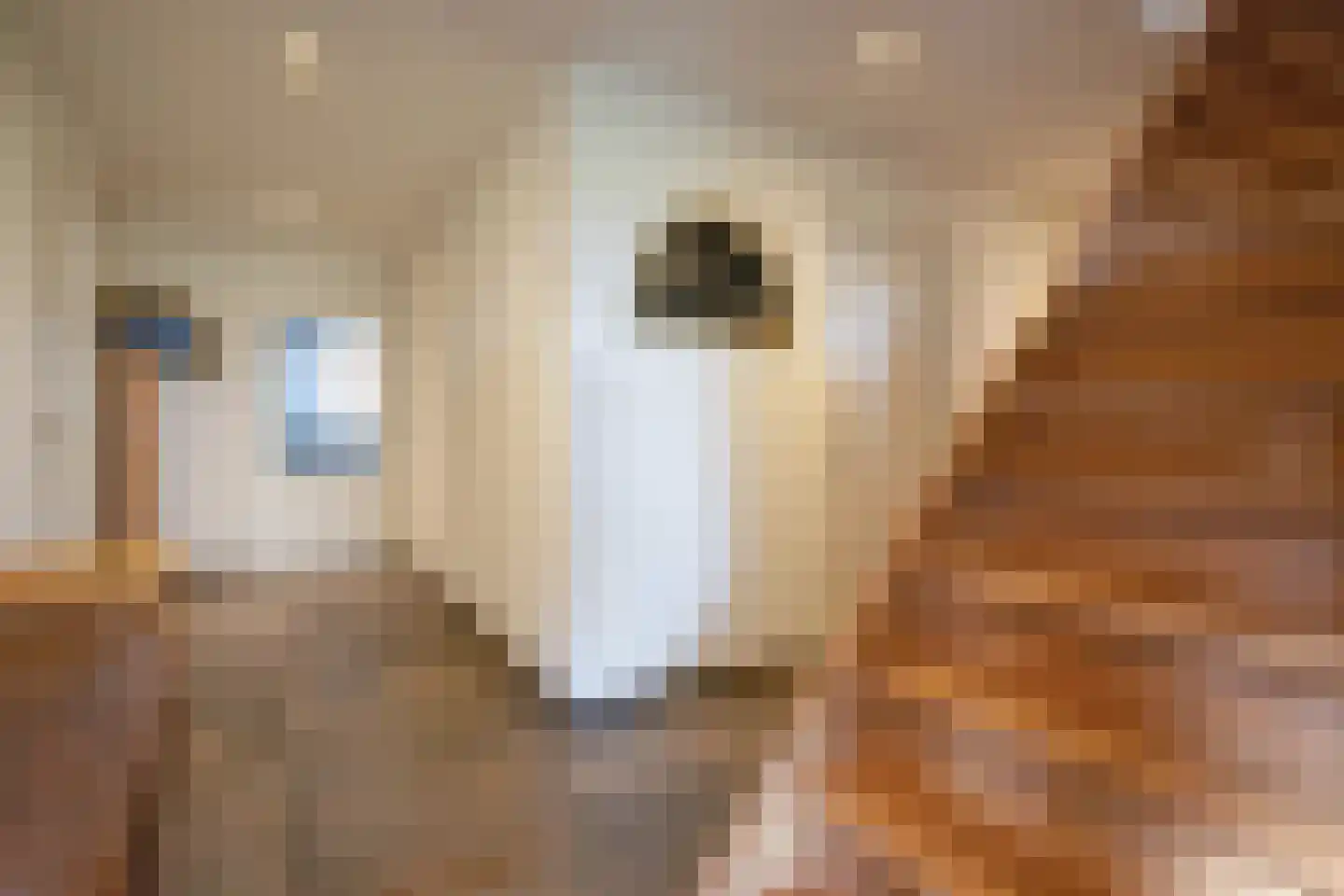 Zuid Haffel 26 Den Burg thumbnail 38