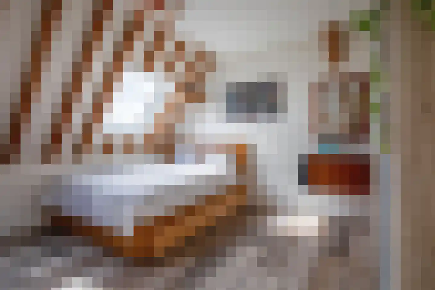Zuid Haffel 26 Den Burg thumbnail 44