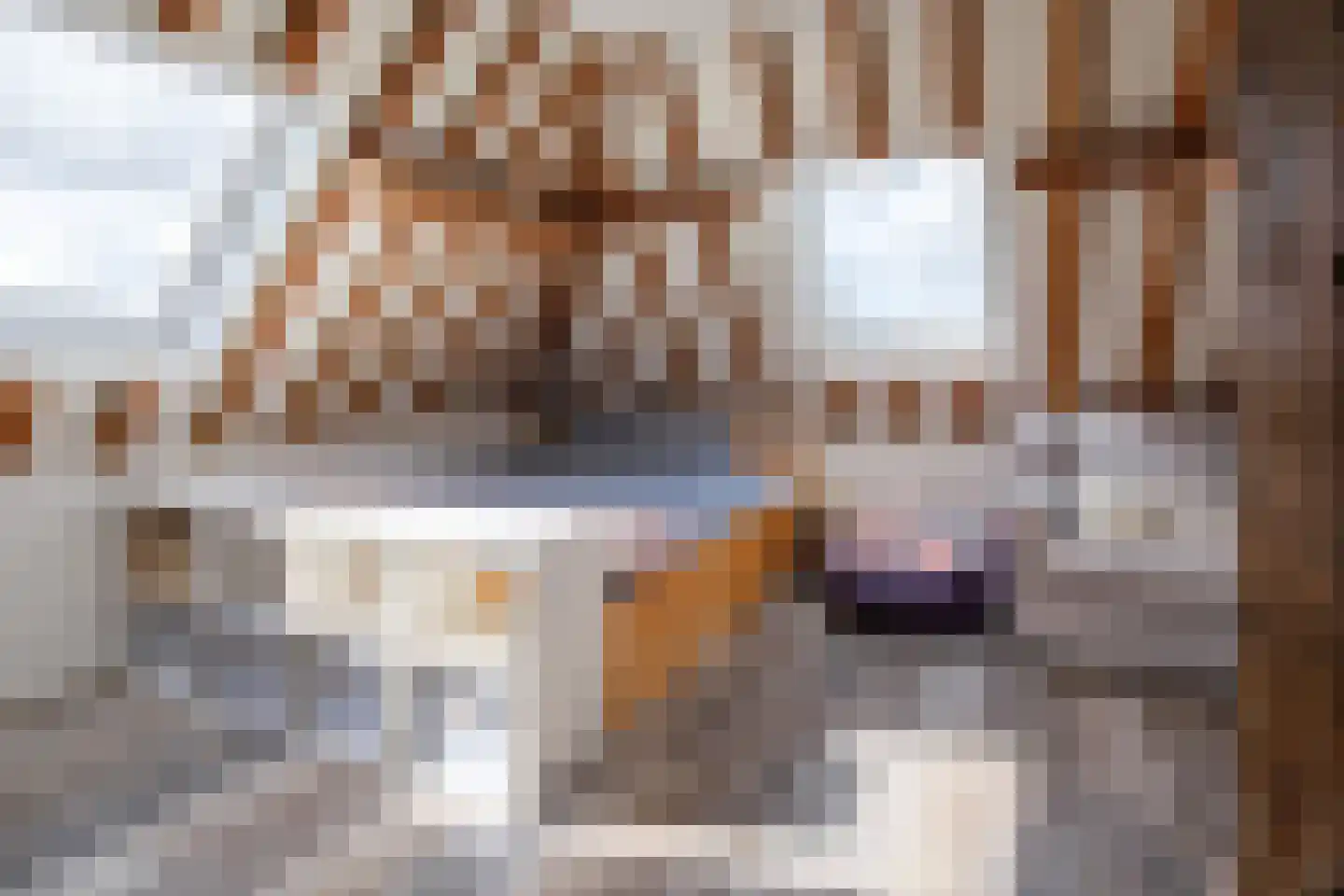 Zuid Haffel 26 Den Burg thumbnail 46