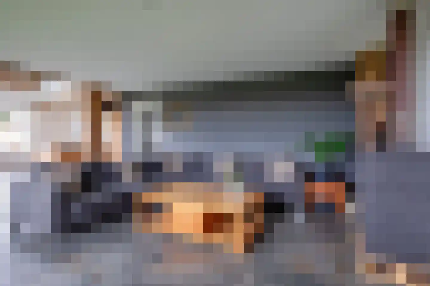 Zuid Haffel 26 Den Burg thumbnail 6