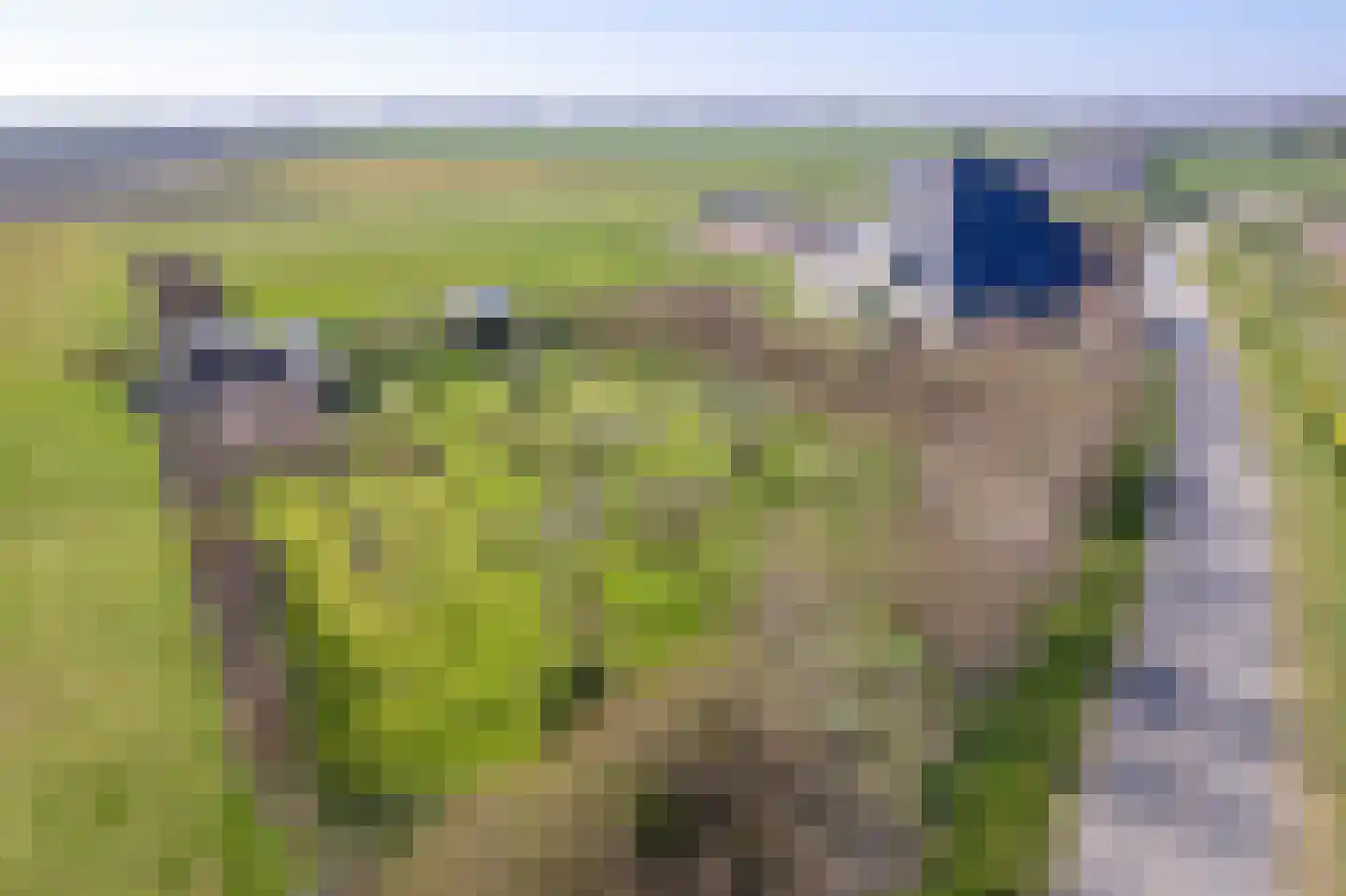 Zuid Haffel 26 Den Burg thumbnail 72