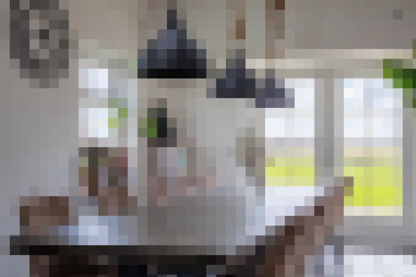 Zuid Haffel 26 Den Burg thumbnail 8