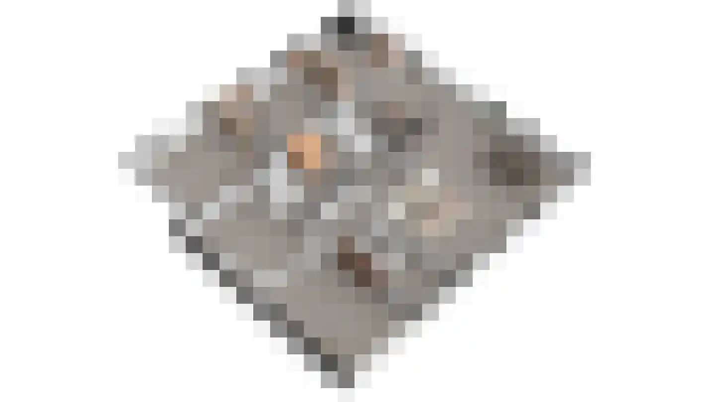 Zuid Haffel 26 Den Burg thumbnail 89