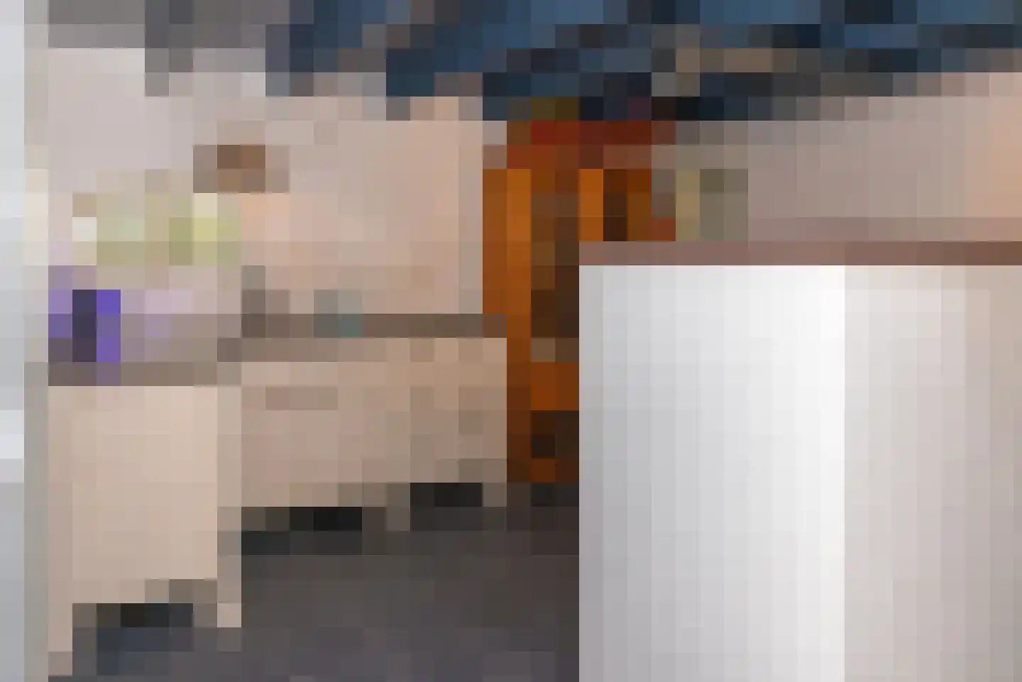 Zuid Haffel 40 Den Burg thumbnail 21