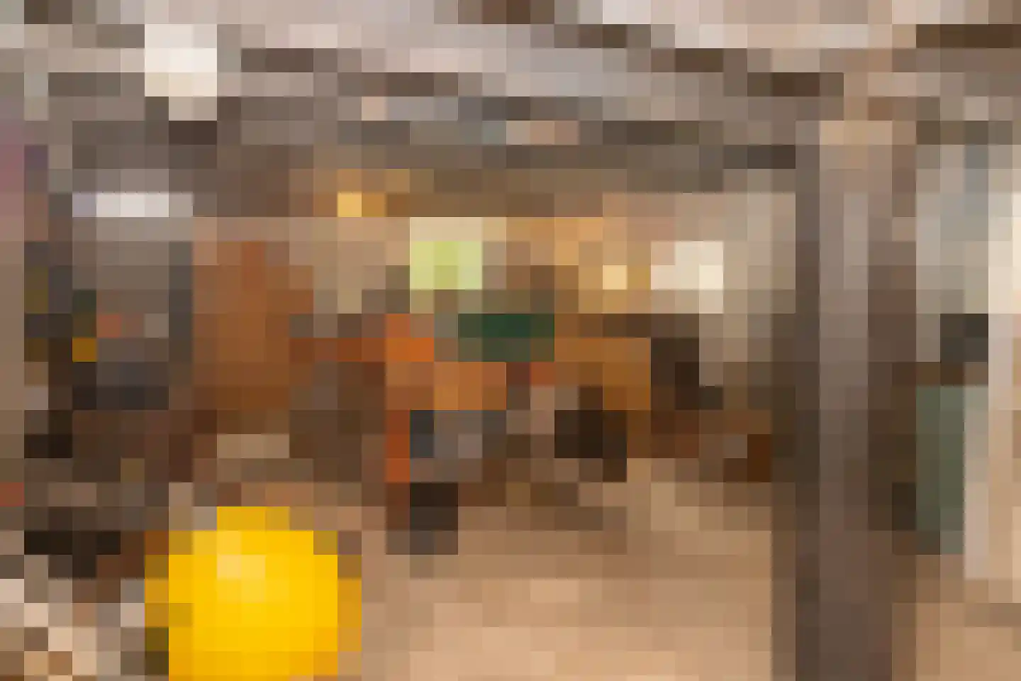 Zuid Haffel 40 Den Burg thumbnail 22