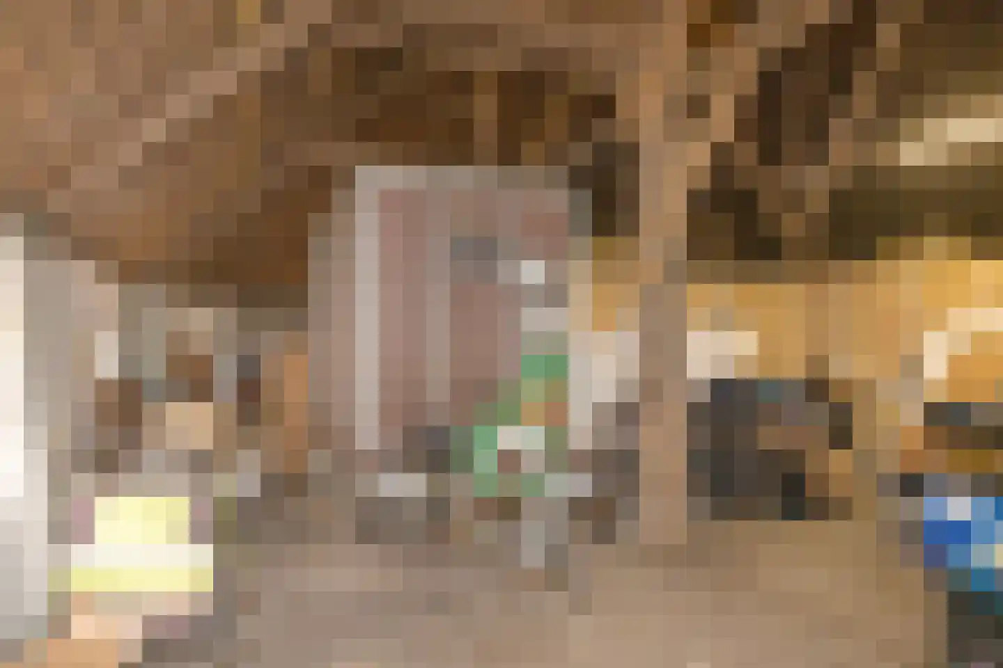 Zuid Haffel 40 Den Burg thumbnail 24