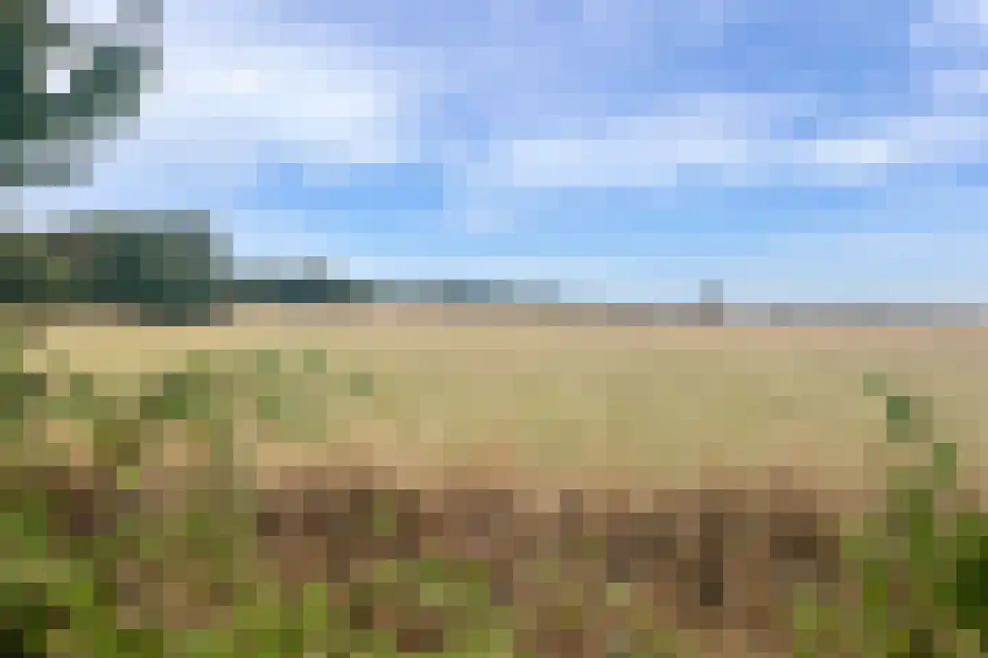 Zuid Haffel 40 Den Burg thumbnail 26